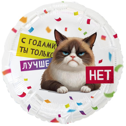 18К РУС С ГОДАМИ ТЫ ЛУЧШЕ Кот Сердитый