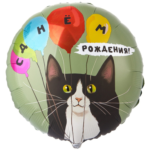 18К РУС ДР Кот и воздушные шары