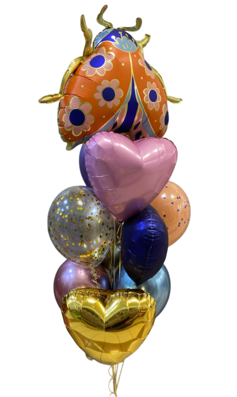 Сет Божья коровка Сет Божья коровка