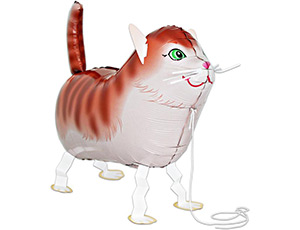 Ф ХОД Кот